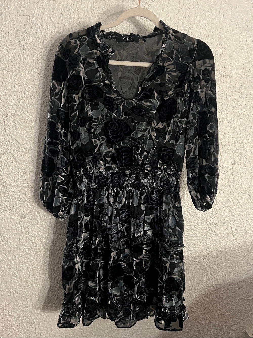 O.P.T. Whimsygoth Velvet Devoré Sheer Mini Dress